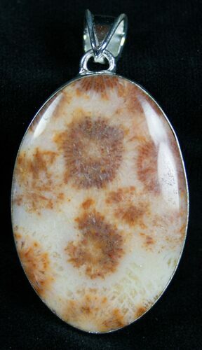 Fossil Coral Pendant - Sterling Silver #7279